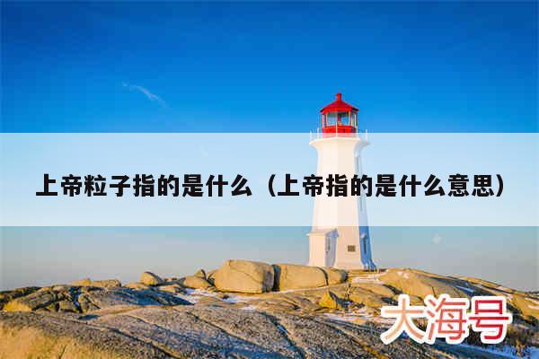 上帝粒子指的是什么（上帝指的是什么意思）