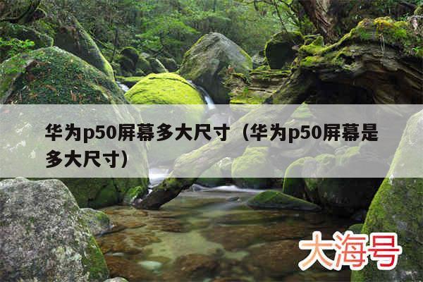 华为p50屏幕多大尺寸（华为p50屏幕是多大尺寸）