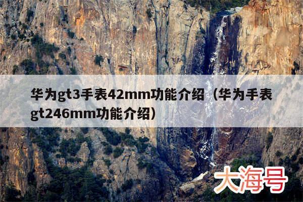 华为gt3手表42mm功能介绍(华为手表gt246mm功能介绍)