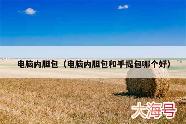 电脑内胆包（电脑内胆包和手提包哪个好）