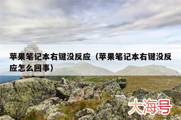 苹果笔记本右键没反应（苹果笔记本右键没反应怎么回事）