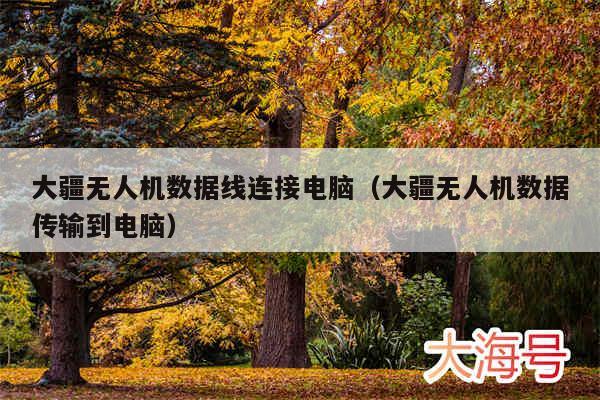 大疆无人机数据线连接电脑(大疆无人机数据传输到电脑)