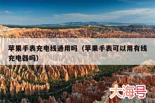 苹果手表充电线通用吗（苹果手表可以用有线充电器吗）