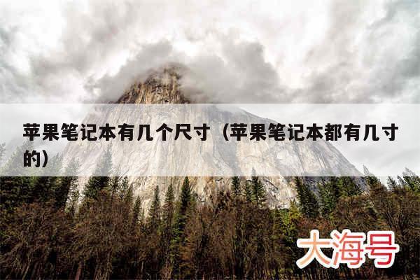 苹果笔记本有几个尺寸（苹果笔记本都有几寸的）