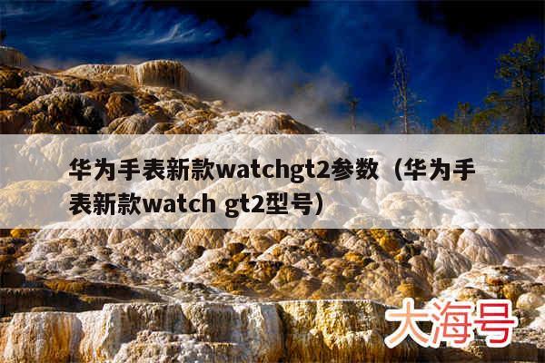 华为手表新款watchgt2参数(华为手表新款watch gt2型号)