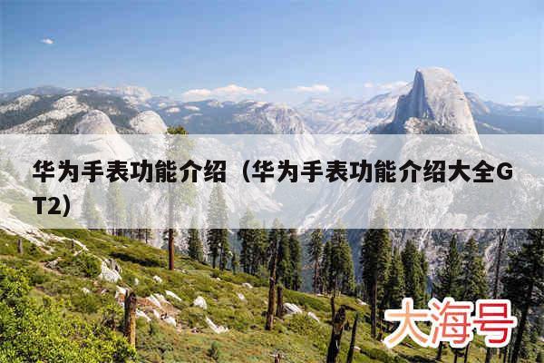 华为手表功能介绍（华为手表功能介绍大全GT2）