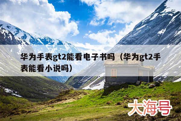 华为手表gt2能看电子书吗（华为gt2手表能看小说吗）