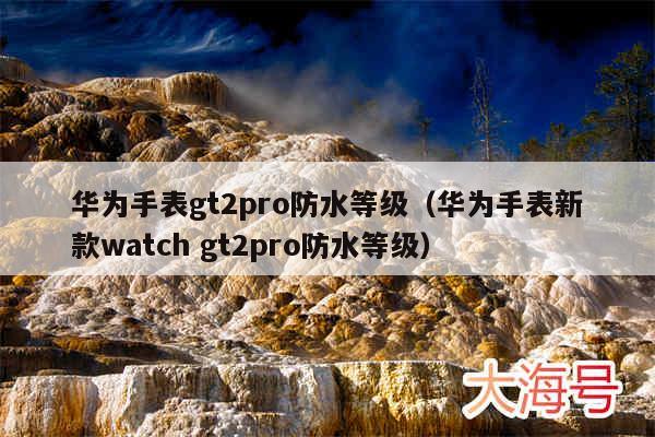华为手表gt2pro防水等级（华为手表新款watch gt2pro防水等级）