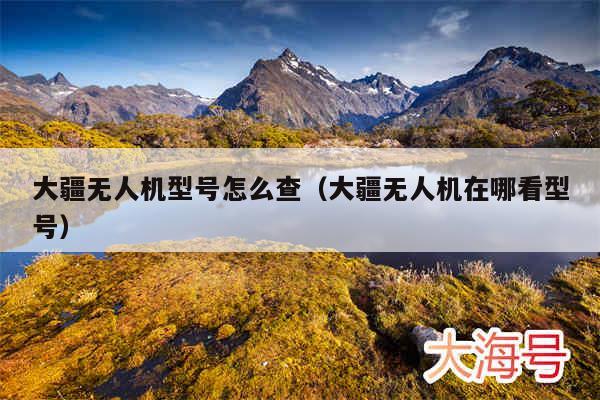 大疆无人机型号怎么查（大疆无人机在哪看型号）