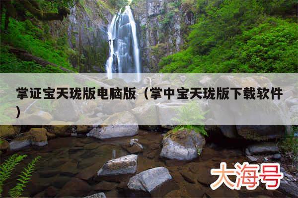 掌证宝天珑版电脑版（掌中宝天珑版下载软件）