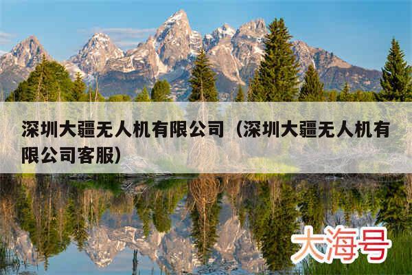 深圳大疆无人机有限公司（深圳大疆无人机有限公司客服）