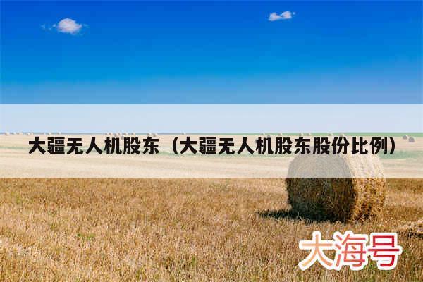 大疆无人机股东（大疆无人机股东股份比例）