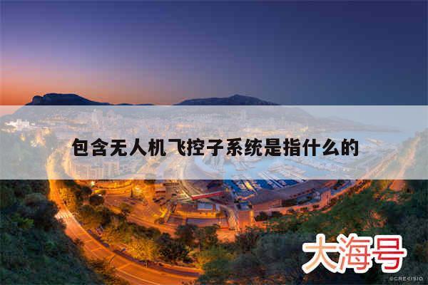 包含无人机飞控子系统是指什么的
