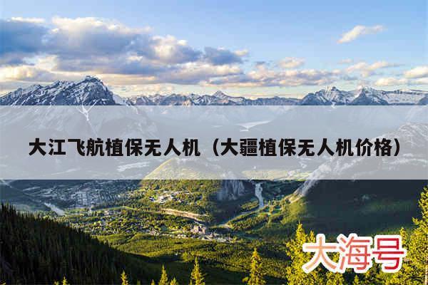 大江飞航植保无人机（大疆植保无人机价格）