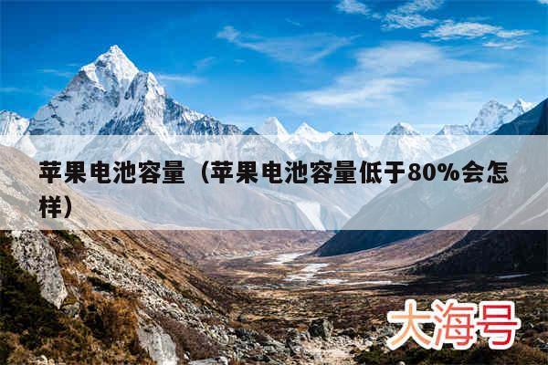 苹果电池容量（苹果电池容量低于80%会怎样）