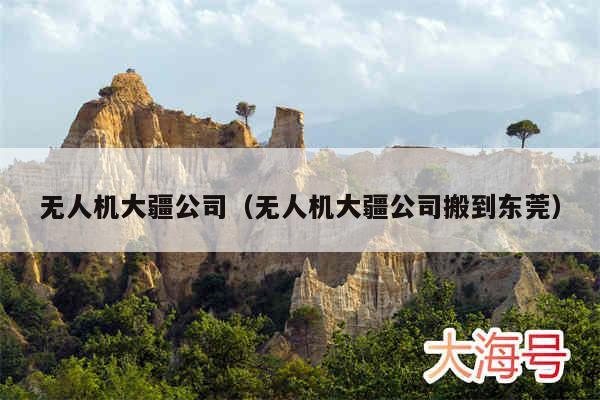 无人机大疆公司（无人机大疆公司搬到东莞）