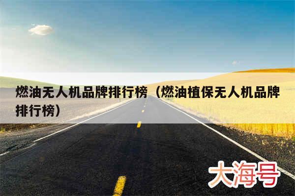 燃油无人机品牌排行榜（燃油植保无人机品牌排行榜）