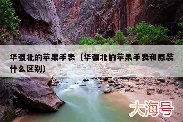 华强北的苹果手表（华强北的苹果手表和原装什么区别）