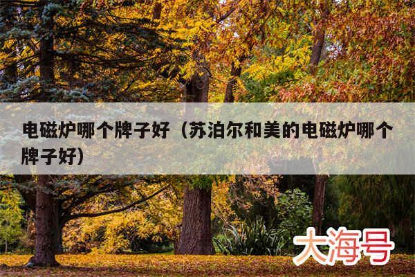 电磁炉哪个牌子好（苏泊尔和美的电磁炉哪个牌子好）