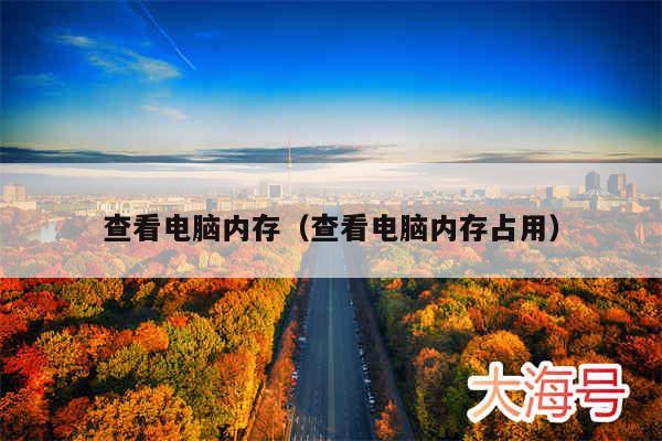查看电脑内存(查看电脑内存占用)