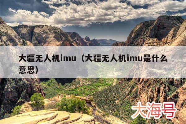 大疆无人机imu（大疆无人机imu是什么意思）