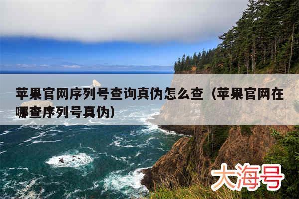 苹果官网序列号查询真伪怎么查(苹果官网在哪查序列号真伪)