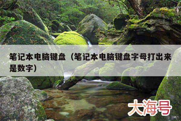 笔记本电脑键盘（笔记本电脑键盘字母打出来是数字）