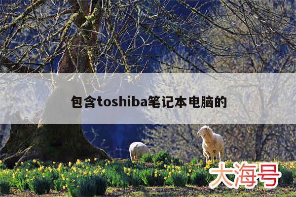 包含toshiba笔记本电脑的