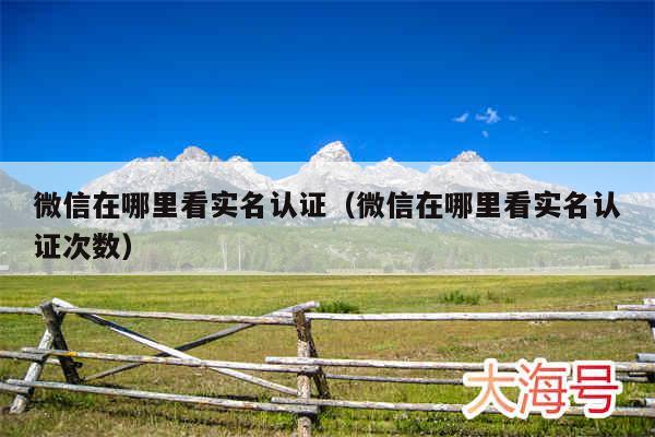 微信在哪里看实名认证（微信在哪里看实名认证次数）