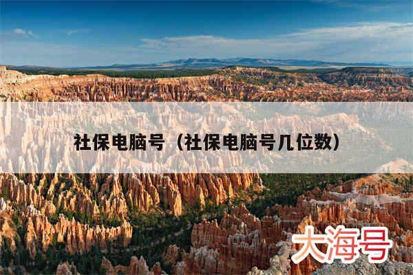 社保电脑号(社保电脑号几位数)