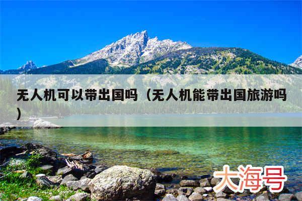 无人机可以带出国吗（无人机能带出国旅游吗）