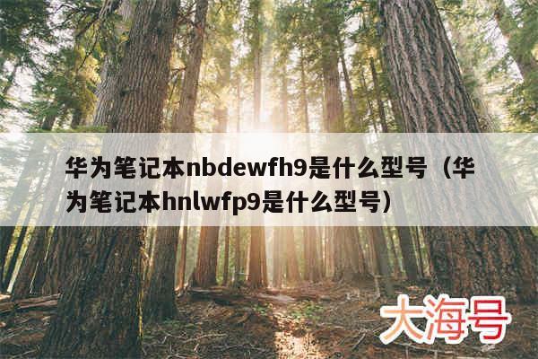 华为笔记本nbdewfh9是什么型号（华为笔记本hnlwfp9是什么型号）