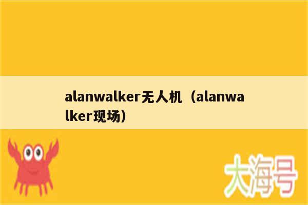 alanwalker无人机(alanwalker现场)