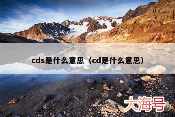 cds是什么意思(cd是什么意思)