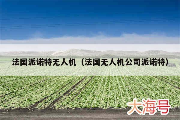 法国派诺特无人机(法国无人机公司派诺特)