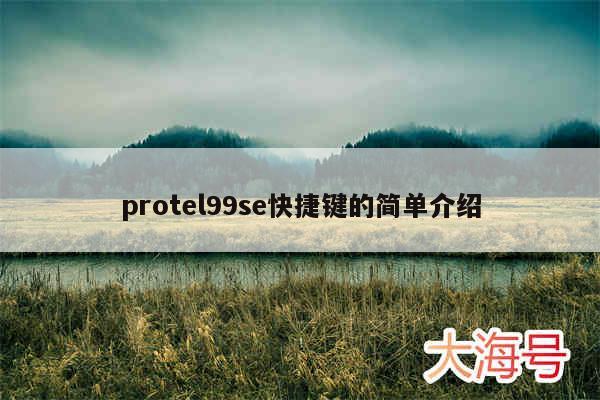 protel99se快捷键的简单介绍