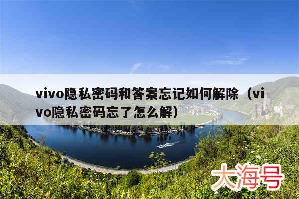 vivo隐私密码和答案忘记如何解除(vivo隐私密码忘了怎么解)