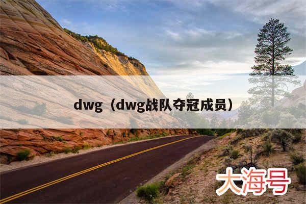 dwg(dwg战队夺冠成员)