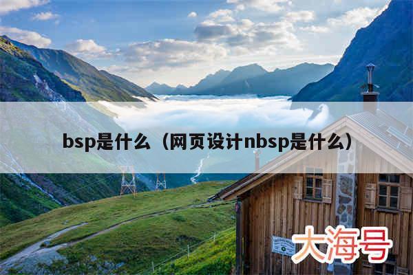 bsp是什么(网页设计nbsp是什么)