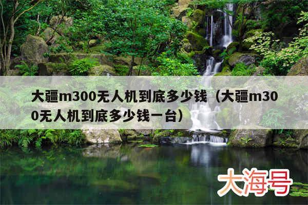 大疆m300无人机到底多少钱(大疆m300无人机到底多少钱一台)