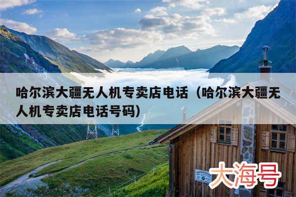 哈尔滨大疆无人机专卖店电话(哈尔滨大疆无人机专卖店电话号码)