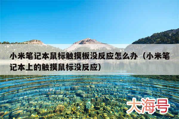 小米笔记本鼠标触摸板没反应怎么办(小米笔记本上的触摸鼠标没反应)