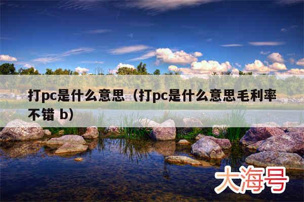 打pc是什么意思(打pc是什么意思毛利率不错 b)