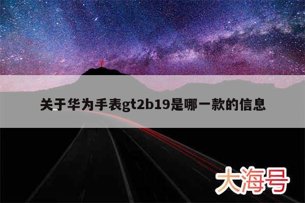关于华为手表gt2b19是哪一款的信息
