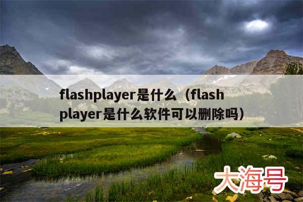 flashplayer是什么(flashplayer是什么软件可以删除吗)