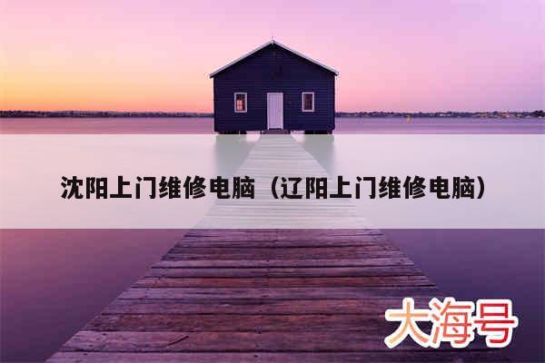 沈阳上门维修电脑(辽阳上门维修电脑)