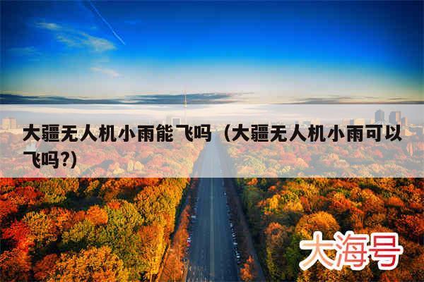 大疆无人机小雨能飞吗(大疆无人机小雨可以飞吗?)