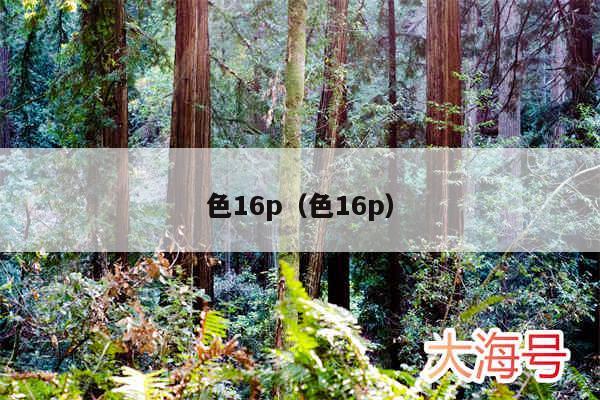 色16p(色16p)