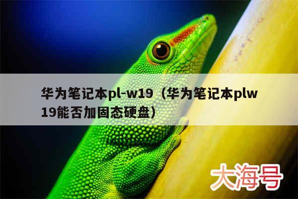 华为笔记本pl-w19(华为笔记本plw19能否加固态硬盘)