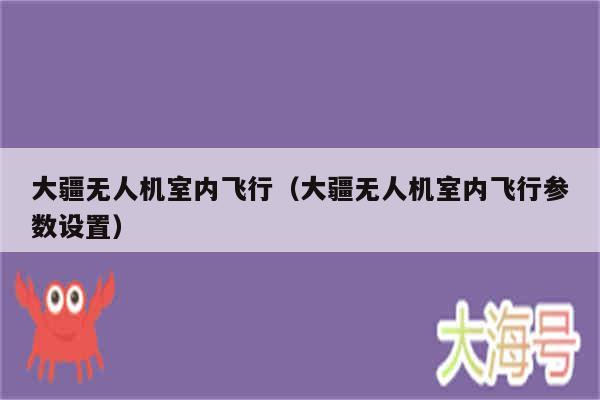 大疆无人机室内飞行(大疆无人机室内飞行参数设置)